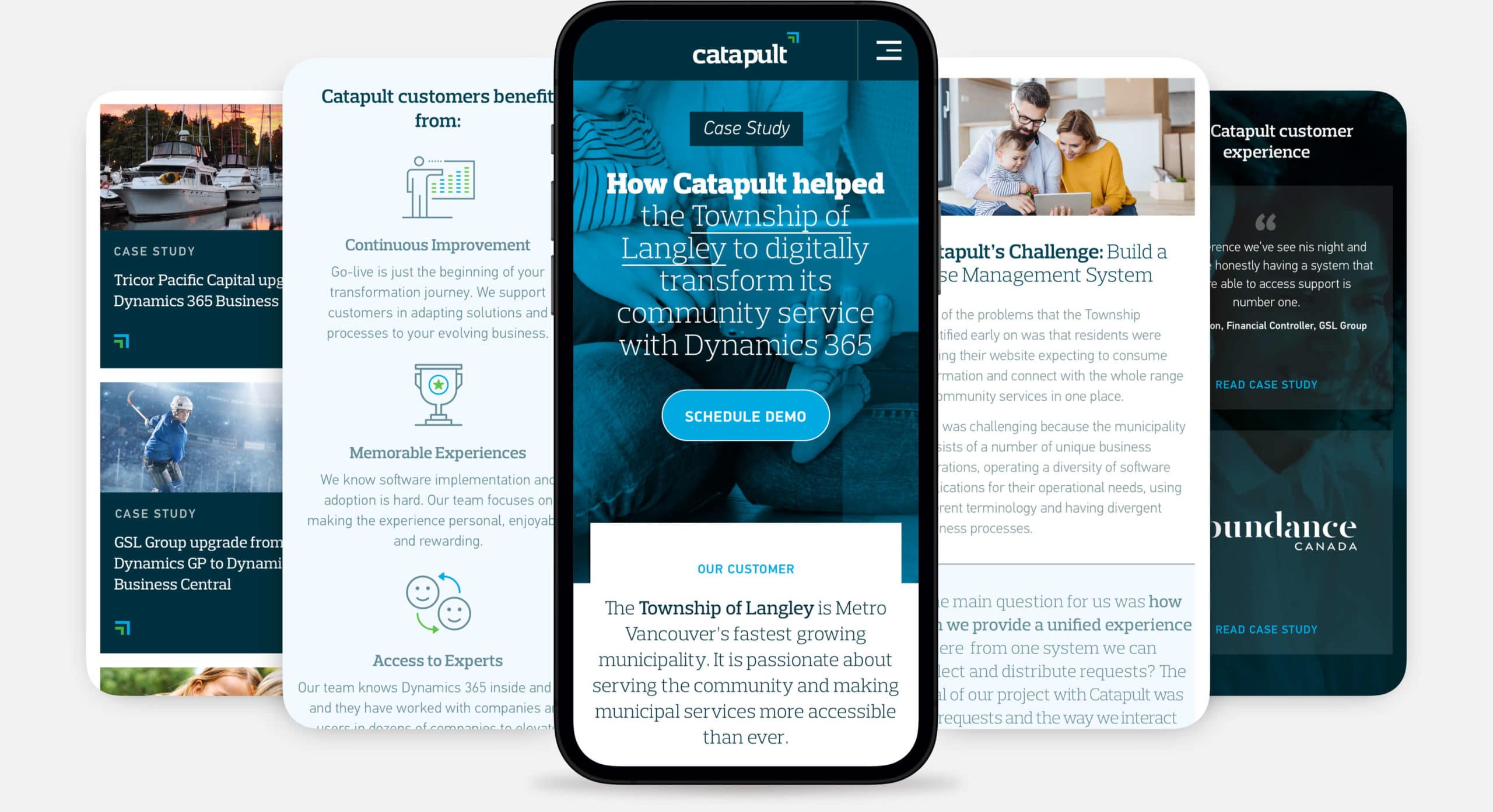 Brand identity and website for Catapult ERP, a Microsoft Dynamics 365 partner in Vancouver, BC